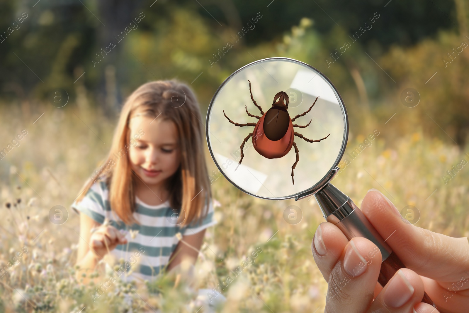 Image of Seasonal hazard of outdoor recreation. Girl playing in nature. Woman showing tick with magnifying glass, selective focus