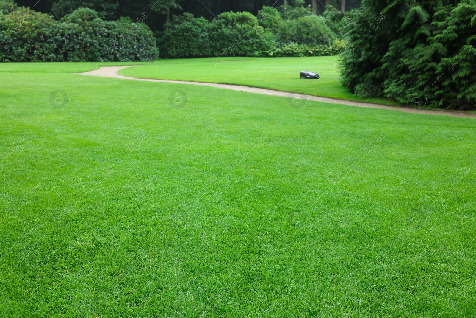 Photo of Beautiful freshly cut green lawn in park