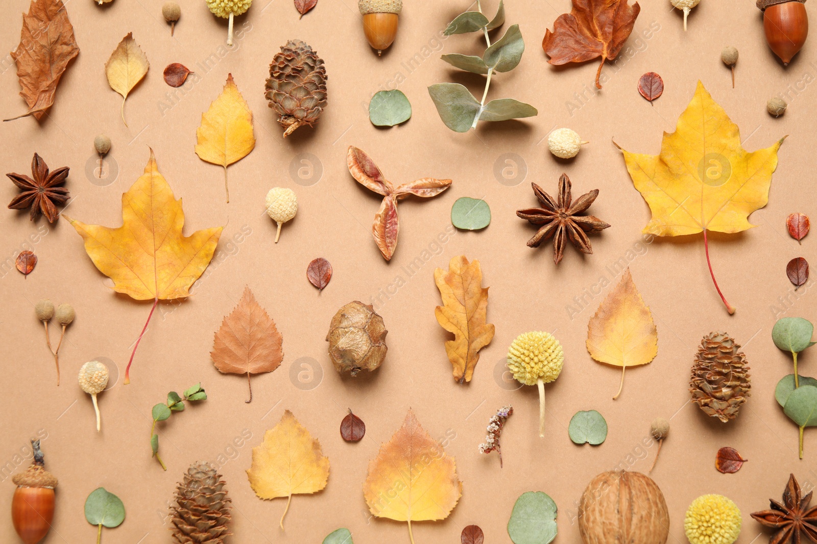 Photo of Flat lay composition with autumn leaves on beige background