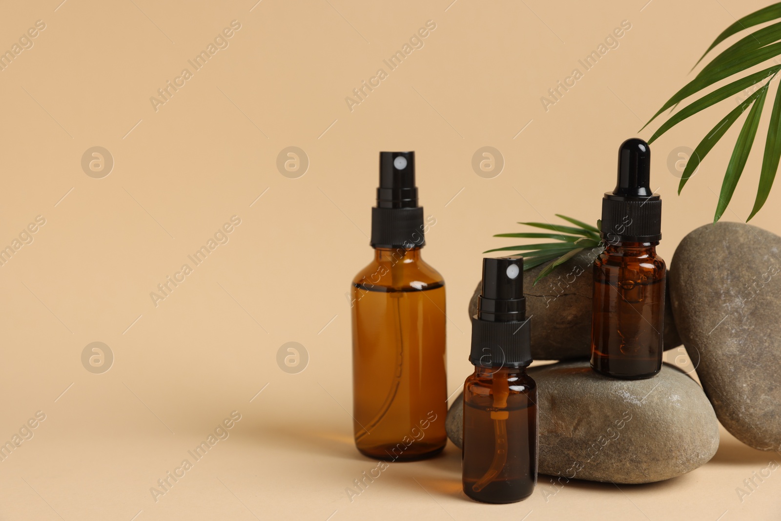Photo of Bottles of organic cosmetic products, green leaf and stones on beige background, space for text