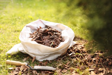 Sack of bark chips and trowel in garden