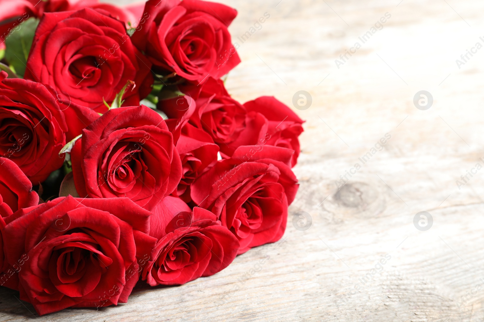 Photo of Beautiful red rose flowers on wooden background