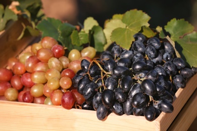 Fresh ripe juicy grapes in wooden crate against blurred background