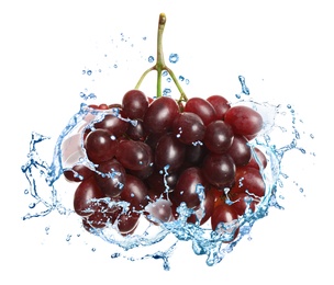 Grape cluster with water splash on white background