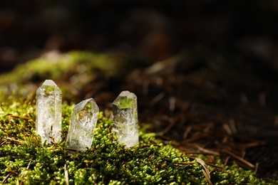 Clear quartz crystals on green moss in forest. Space for text