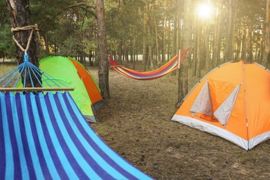 Photo of Colorful tents and empty comfortable hammocks in forest