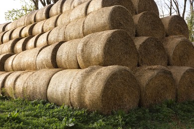 Many hay bales on green grass outdoors