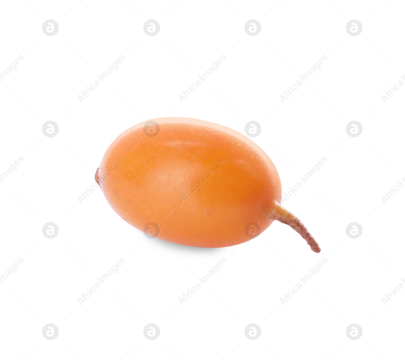 Photo of Fresh ripe sea buckthorn berry isolated on white