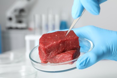 Photo of Scientist with tweezers examining piece of raw cultured meat in laboratory, closeup