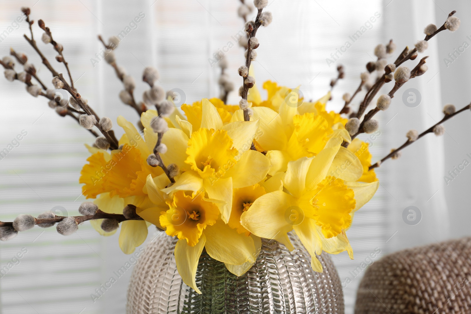 Photo of Bouquet of beautiful yellow daffodils and willow twigs in vase on blurred background, closeup