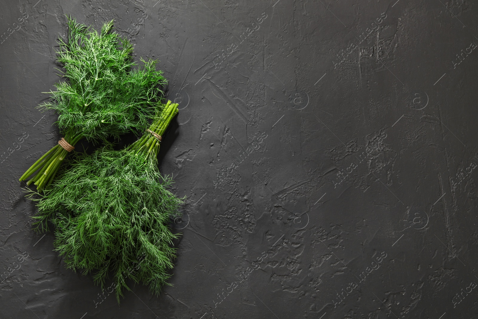 Photo of Bunches of fresh dill on grey textured table, top view. Space for text