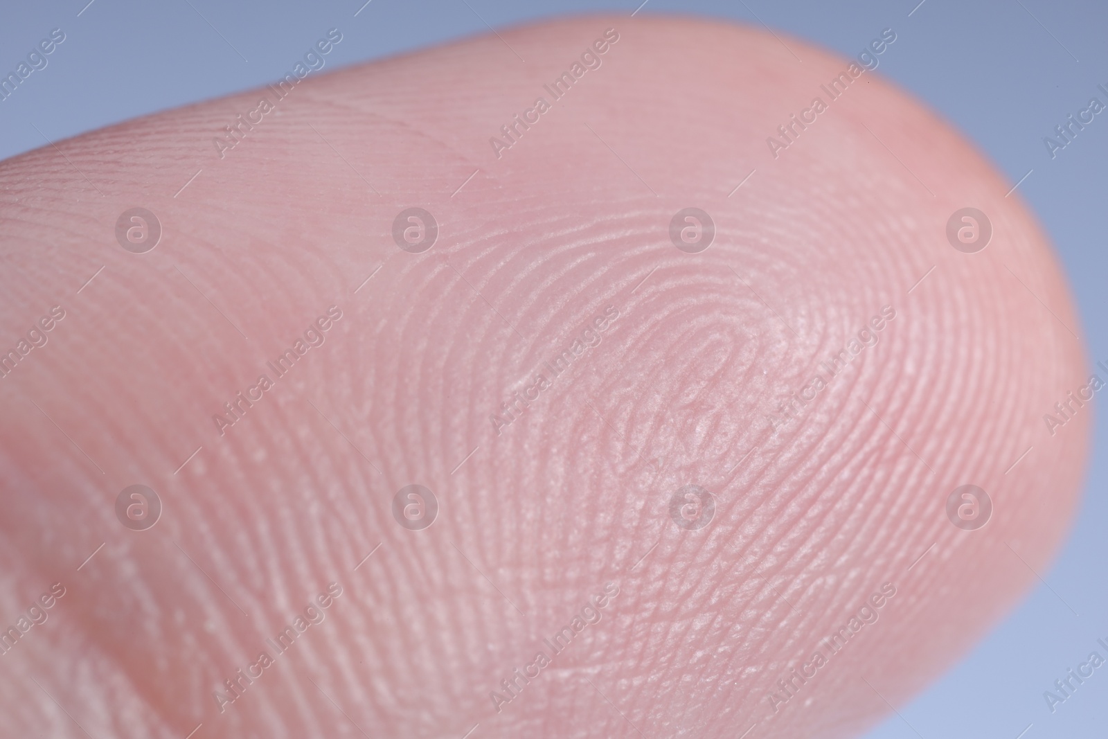 Photo of Finger with friction ridges on light blue background, macro view