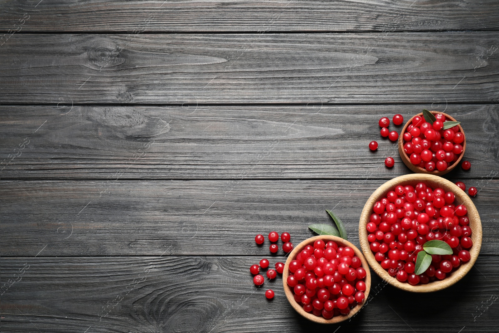 Photo of Ripe fresh cranberry on grey wooden table, flat lay. Space for text