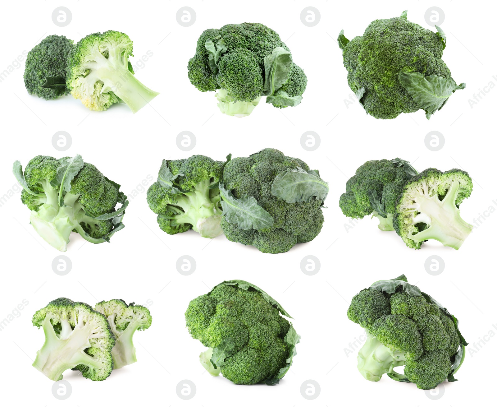 Image of Set of fresh green broccoli on white background