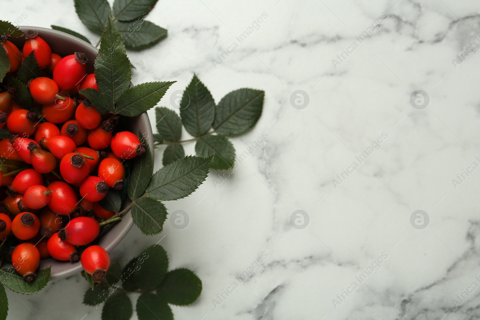 Photo of Ripe rose hip berries with green leaves on white marble table, flat lay. Space for text