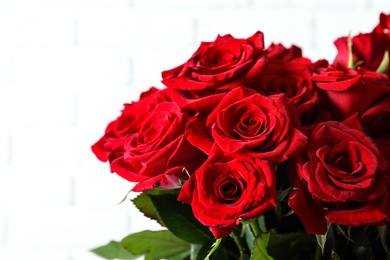 Beautiful red rose flowers on light background