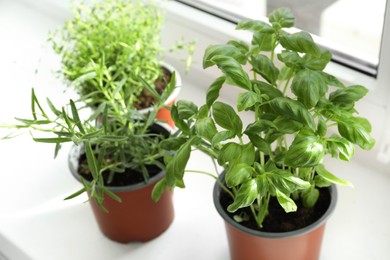 Photo of Different fresh potted herbs on windowsill indoors, closeup