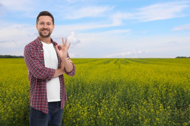 Image of Farmer showing Ok gesture in field. Harvesting season