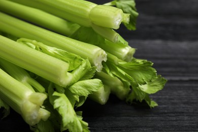 Fresh green celery on black wooden table, closeup