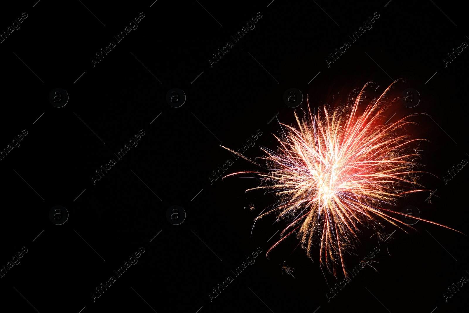 Photo of Beautiful bright firework lighting up night sky, space for text