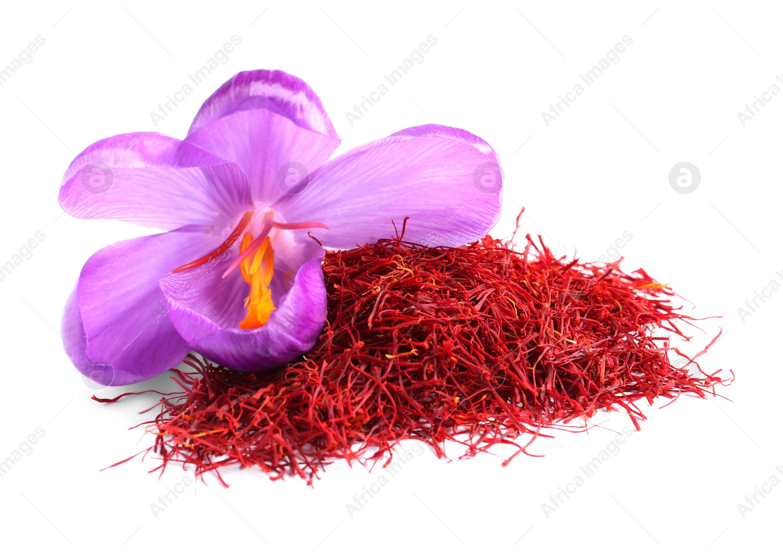 Photo of Pile of dried saffron and crocus flower on white background