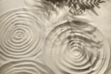 Photo of Beautiful spirals and shadows of leaves on sand, above view. Zen garden