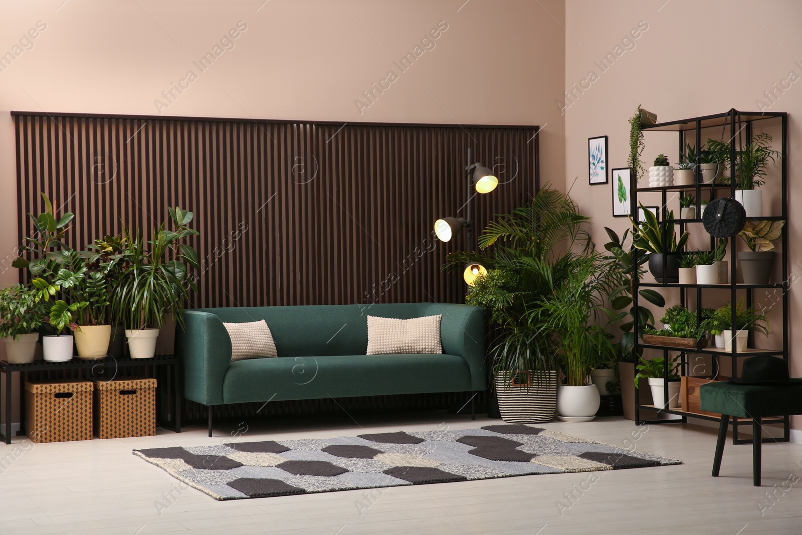 Photo of Stylish living room interior with many beautiful houseplants