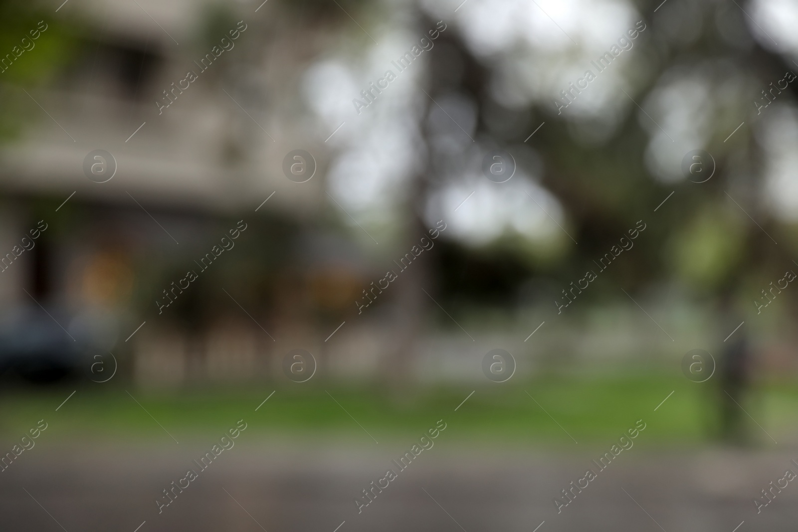 Photo of Blurred view of green trees on city street. Bokeh effect