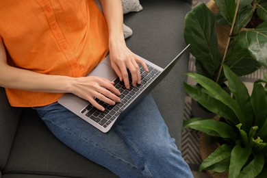 Photo of Woman using laptop on sofa near beautiful houseplants, above view