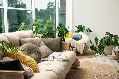 Photo of Indoor terrace interior with comfortable sofa and green plants