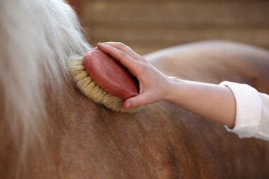 Photo of Woman brushing adorable horse outdoors, closeup. Pet care