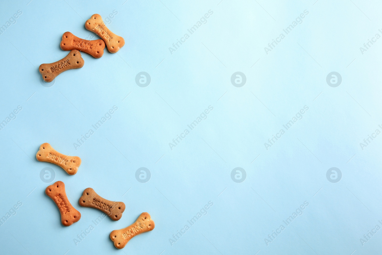 Photo of Bone shaped dog cookies on light blue background, flat lay. Space for text