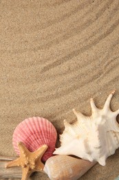 Beautiful starfish and sea shells on sand, flat lay. Space for text