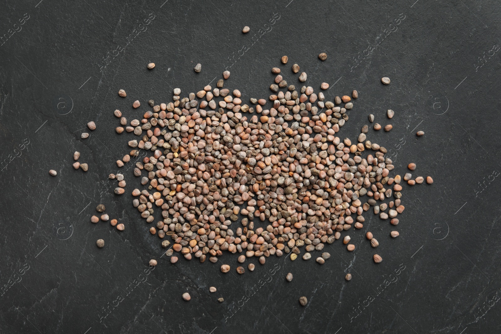 Photo of Raw radish seeds on grey background, flat lay. Vegetable planting