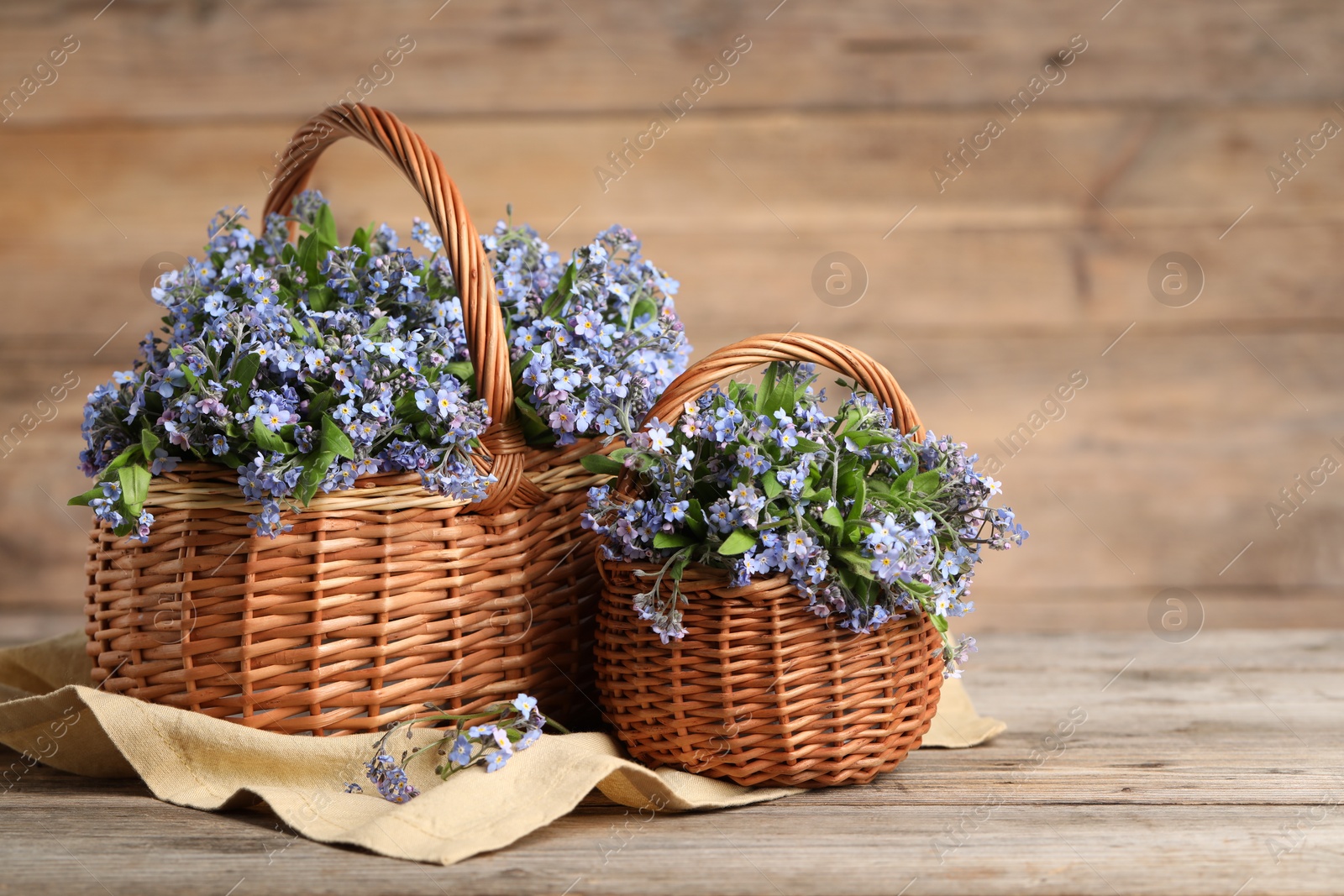 Photo of Beautiful forget-me-not flowers in wicker baskets on wooden table, closeup. Space for text