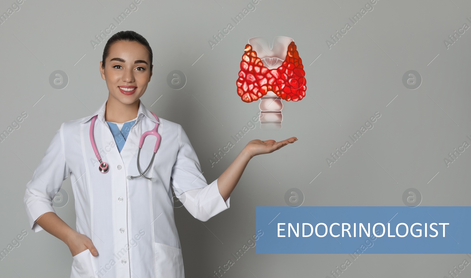 Image of Endocrinologist holding thyroid illustration on grey background, banner design