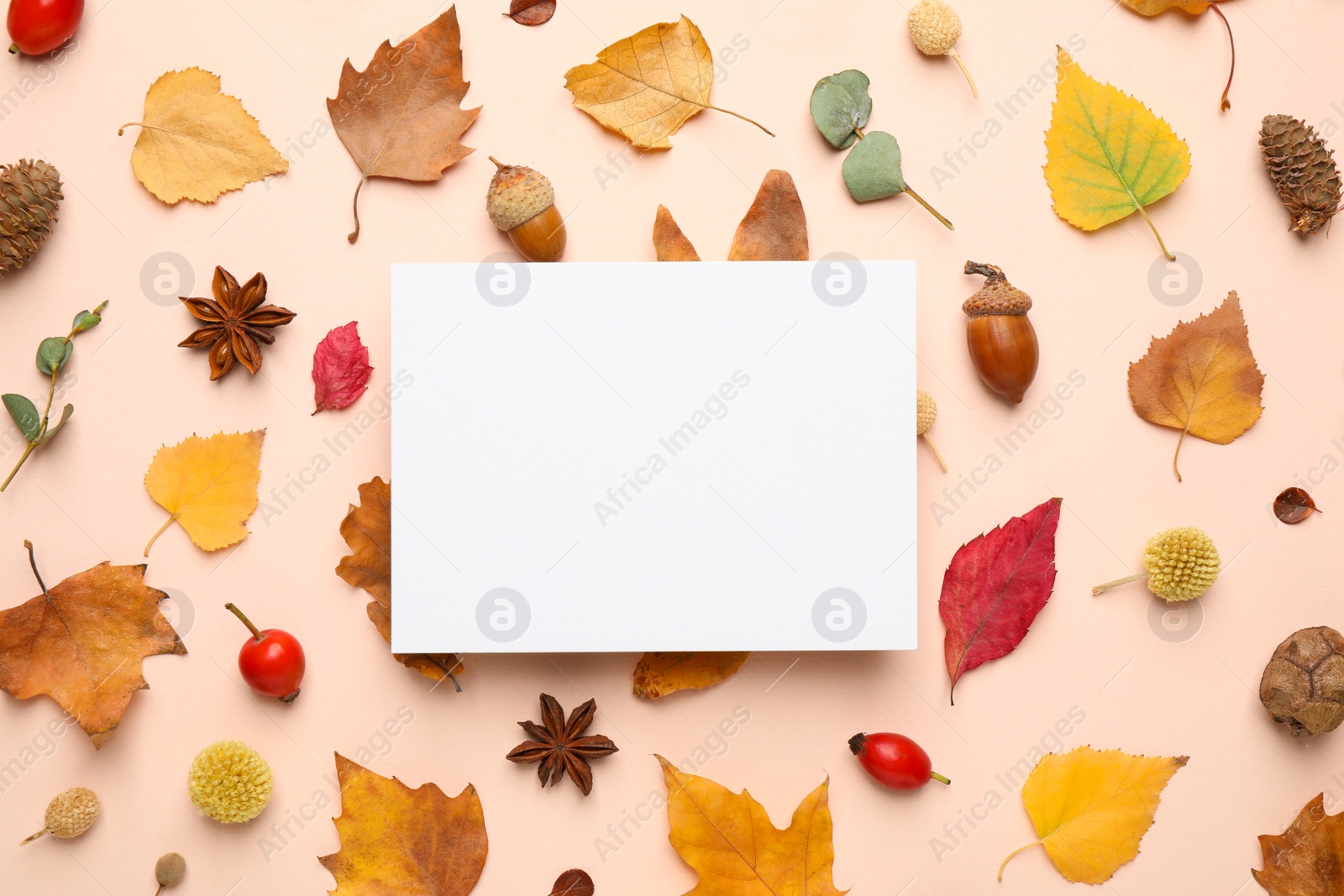 Photo of Flat lay composition with autumn leaves and blank card on light background, space for text