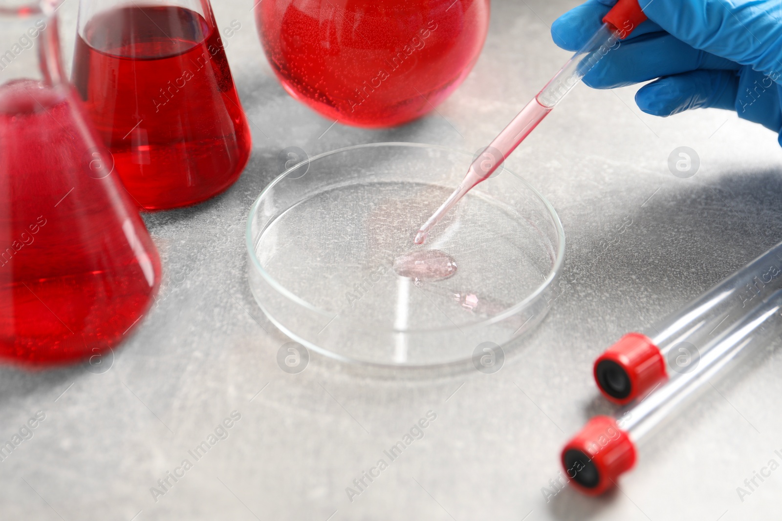 Photo of Laboratory analysis. Dripping red liquid into Petri dish on light grey table, closeup