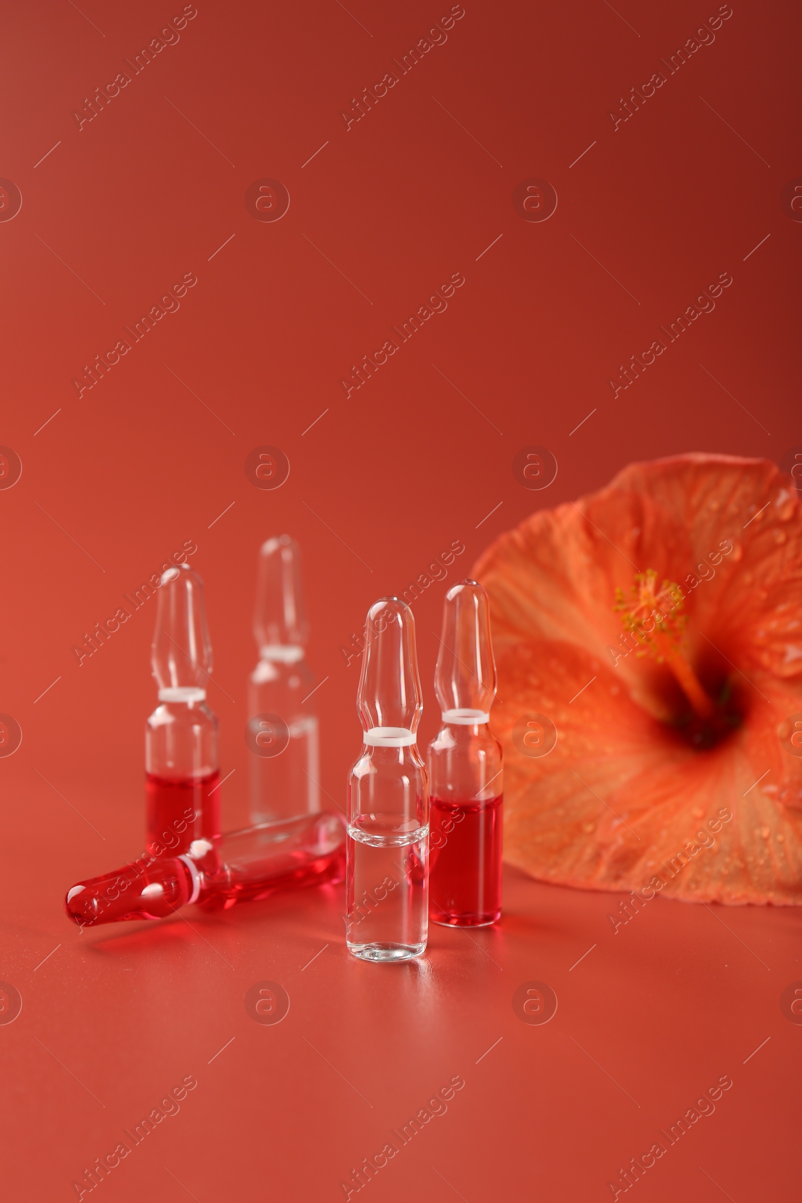 Photo of Skincare ampoules and hibiscus flower on coral background