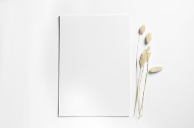 Photo of Empty sheet of paper and dry decorative spikes on white background, flat lay. Mockup for design