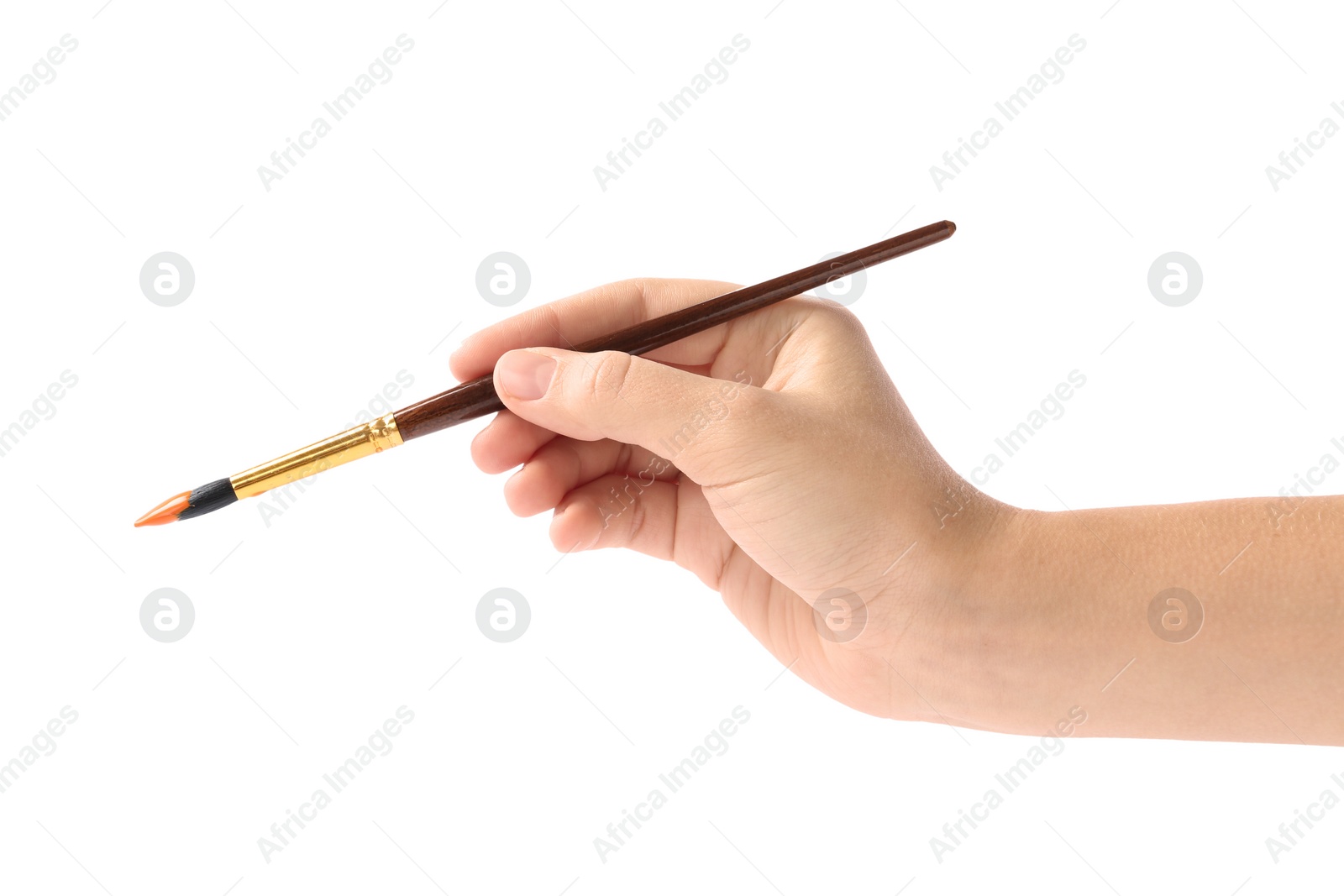 Photo of Young woman holding brush with color paint on white background, closeup