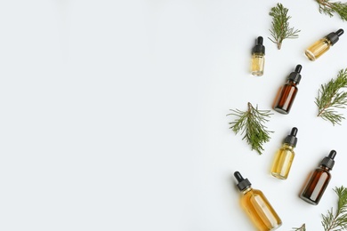 Photo of Little bottles with essential oils among pine branches on white background, flat lay. Space for text