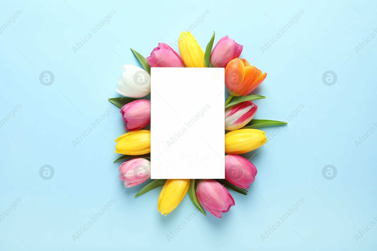 Photo of Beautiful composition with spring flowers and blank card on color background, top view. Space for text