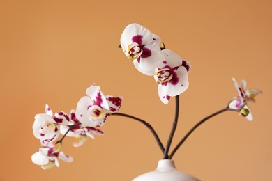 Photo of Vase with orchid flowers on light brown background