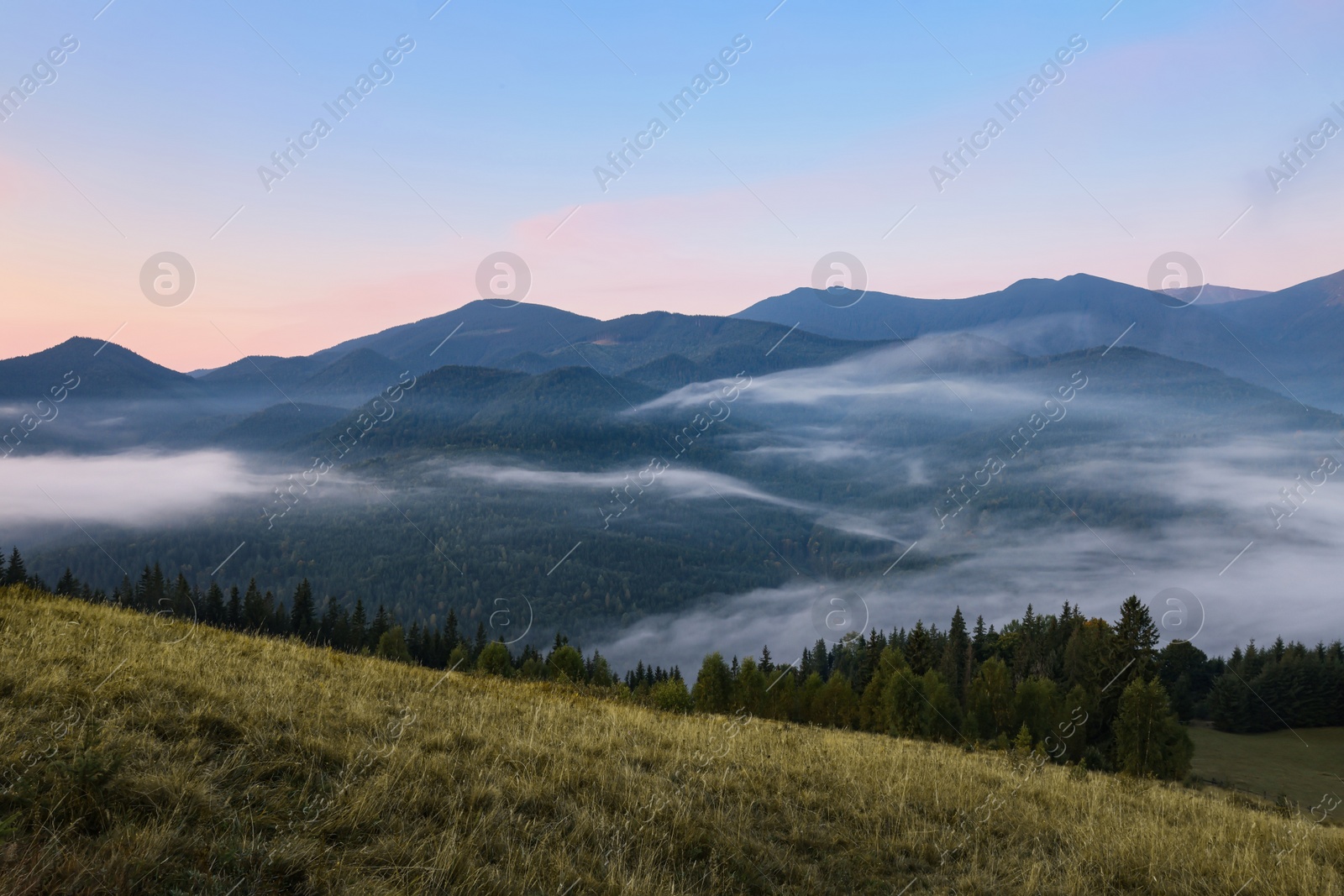 Photo of Amazing view of beautiful mountain landscape covered with fog