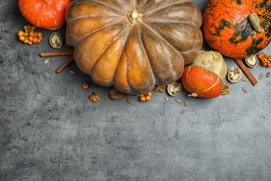 Different pumpkins on gray background, flat lay composition with space for text. Autumn holidays