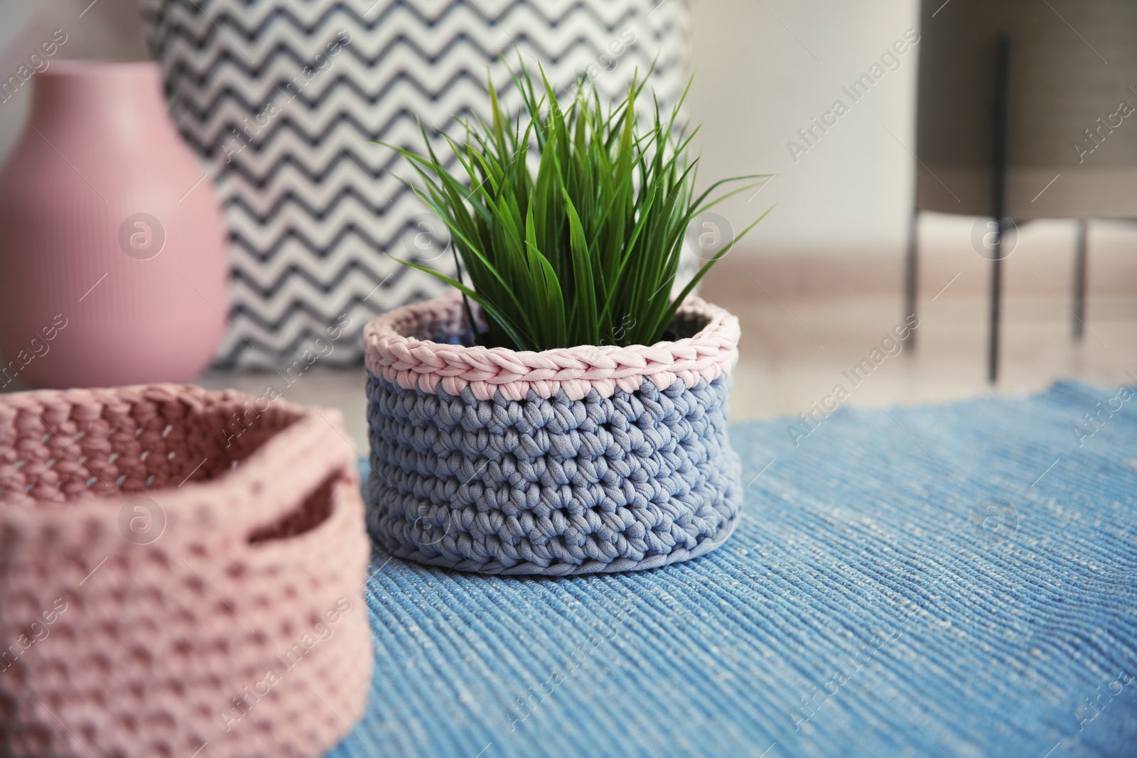 Photo of Knitted flowerpot cover with plant on carpet, space for text. Interior element