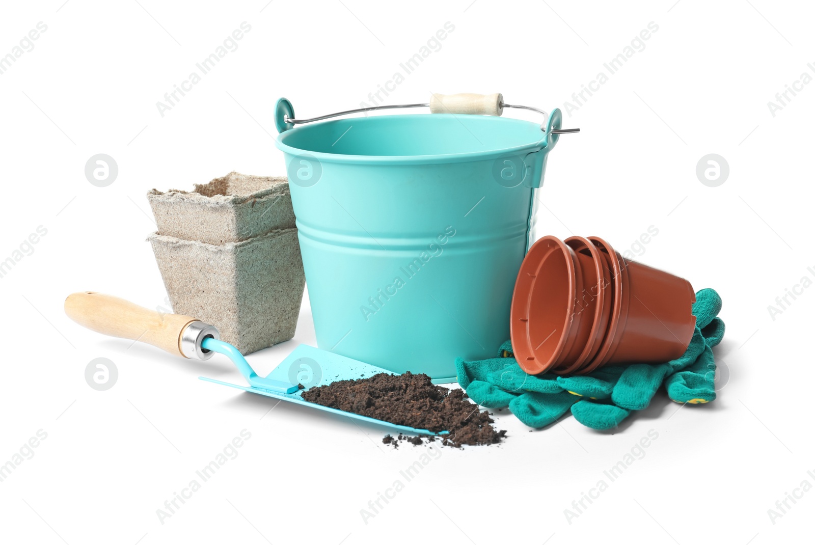 Photo of Set of professional gardening tools on white background