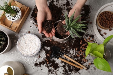 Woman transplanting Aloe into pot at table, top view. House plant care