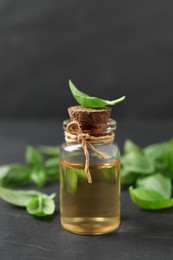 Photo of Bottle of essential basil oil and fresh leaves on dark grey table